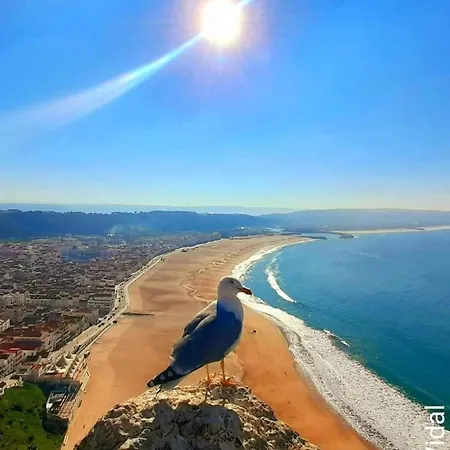 Maresia Mar 펜션 *