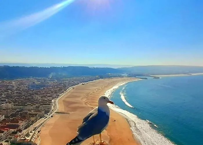 Maresia Mar 度假居 *